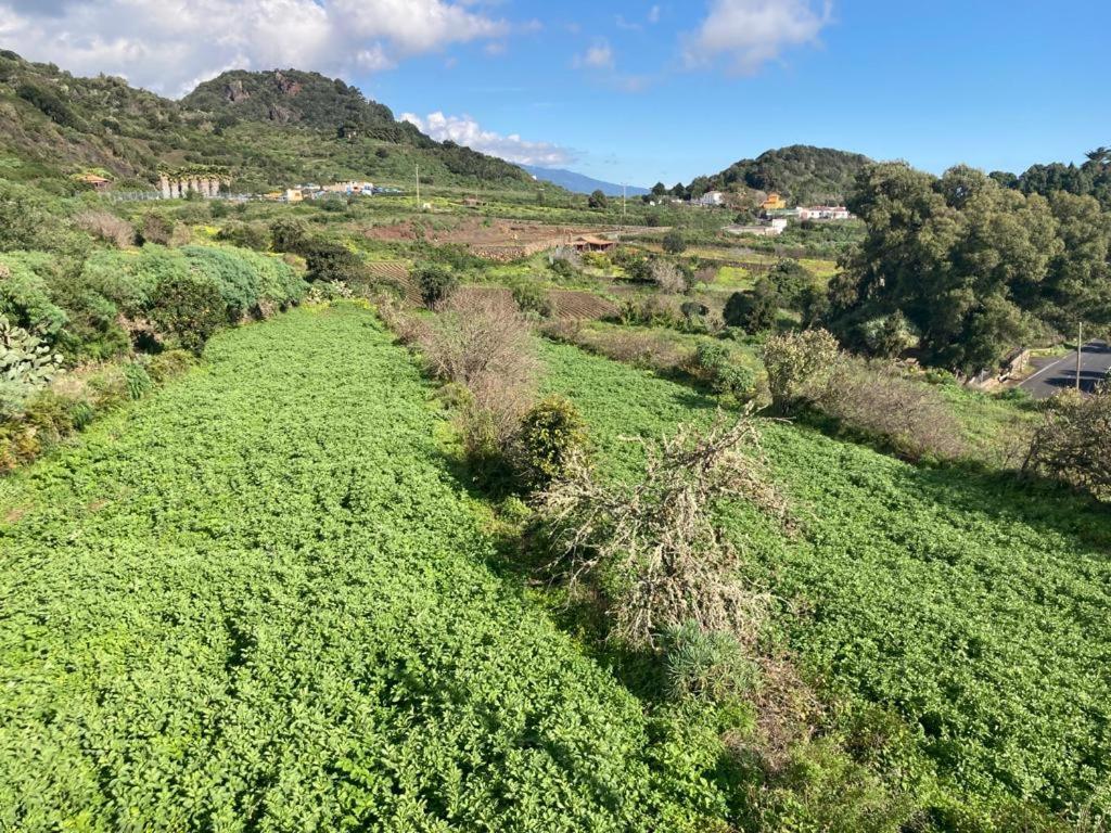 Casa Monterrey Tres Villa Mazo Dış mekan fotoğraf